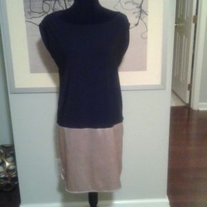 The Limited Little Black and Gold Dress